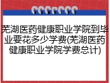 芜湖医药健康职业学院到毕业要花多少学费(芜湖医药健康职业学院学费总计)