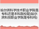 哈尔滨科学技术职业学院是专科还是本科院校呢(哈尔滨科技职业学院是专科吗)