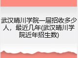 武汉晴川学院一届招收多少人，最近几年(武汉晴川学院近年招生数)