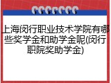 上海闵行职业技术学院有哪些奖学金和助学金呢(闵行职院奖助学金)