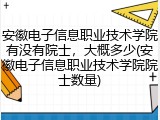 安徽电子信息职业技术学院有没有院士，大概多少(安徽电子信息职业技术学院院士数量)