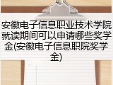 安徽电子信息职业技术学院就读期间可以申请哪些奖学金(安徽电子信息职院奖学金)
