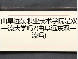 曲阜远东职业技术学院是双一流大学吗?(曲阜远东双一流吗)