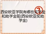 西安欧亚学院有哪些奖学金和助学金呢(西安欧亚奖助学金)