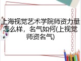 上海视觉艺术学院师资力量怎么样，名气如何(上视觉师资名气)