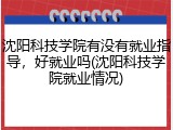 沈阳科技学院有没有就业指导，好就业吗(沈阳科技学院就业情况)