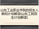 山东工业职业学院的招生人数和计划解读(山东工院招生计划解读)