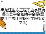 黑龙江生态工程职业学院有哪些奖学金和助学金呢(黑龙江生态工程职业学院奖助学金)