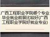 广西工程职业学院哪个专业毕业就业前景比较好(广西工程职业学院好就业专业)