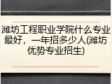 潍坊工程职业学院什么专业最好，一年招多少人(潍坊优势专业招生)