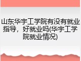 山东华宇工学院有没有就业指导，好就业吗(华宇工学院就业情况)