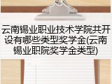 云南锡业职业技术学院共开设有哪些类型奖学金(云南锡业职院奖学金类型)