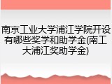 南京工业大学浦江学院开设有哪些奖学和助学金(南工大浦江奖助学金)