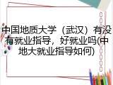 中国地质大学（武汉）有没有就业指导，好就业吗(中地大就业指导如何)