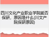 四川文化产业职业学院能否保研，原因是什么(川文产院保研原因)