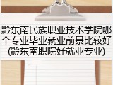 黔东南民族职业技术学院哪个专业毕业就业前景比较好(黔东南职院好就业专业)