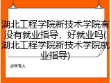 湖北工程学院新技术学院有没有就业指导，好就业吗(湖北工程学院新技术学院就业指导)