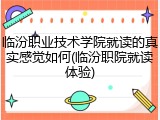临汾职业技术学院就读的真实感觉如何(临汾职院就读体验)