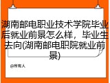 湖南邮电职业技术学院毕业后就业前景怎么样，毕业生去向(湖南邮电职院就业前景)