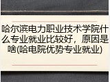 哈尔滨电力职业技术学院什么专业就业比较好，原因是啥(哈电院优势专业就业)