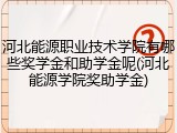 河北能源职业技术学院有哪些奖学金和助学金呢(河北能源学院奖助学金)
