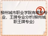 柳州城市职业学院有哪些专业，王牌专业分析(柳州城职王牌专业)