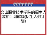 文山职业技术学院的招生人数和计划解读(招生人数计划)