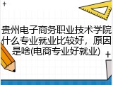 贵州电子商务职业技术学院什么专业就业比较好，原因是啥(电商专业好就业)