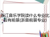 浙江音乐学院读什么专业比较有前景(浙音前景专业)