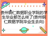 贵州铜仁数据职业学院的学生毕业都怎么样了(贵州铜仁数据学院毕业生去向)