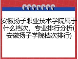 安徽扬子职业技术学院属于什么档次，专业排行分析(安徽扬子学院档次排行)