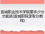 宣城职业技术学院要多少分才能进(宣城职院录取分数线)
