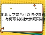 湖北大学是否可以进校参观，有何限制(湖大参观限制)