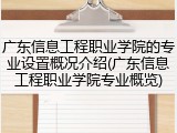 广东信息工程职业学院的专业设置概况介绍(广东信息工程职业学院专业概览)
