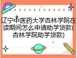 辽宁中医药大学杏林学院在读期间怎么申请助学贷款(杏林学院助学贷款)