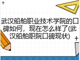 武汉船舶职业技术学院的口碑如何，现在怎么样了(武汉船舶职院口碑现状)