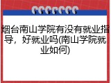 烟台南山学院有没有就业指导，好就业吗(南山学院就业如何)