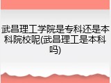武昌理工学院是专科还是本科院校呢(武昌理工是本科吗)