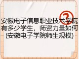 安徽电子信息职业技术学院有多少学生，师资力量如何(安徽电子学院师生规模)