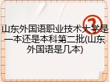 山东外国语职业技术大学是一本还是本科第二批(山东外国语是几本)