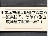 山东城市建设职业学院是双一流高校吗，简单介绍(山东城建学院双一流？)