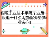 铜陵职业技术学院毕业后一般能干什么呢(铜陵职院毕业去向)