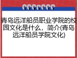 青岛远洋船员职业学院的校园文化是什么，简介(青岛远洋船员学院文化)