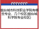 烟台城市科技职业学院有哪些专业，几个校区(烟台城科学院专业校区)