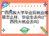 广西民族大学毕业后就业前景怎么样，毕业生去向(广西民大就业去向)