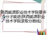 陕西能源职业技术学院要多少分才能进(陕西能源职业技术学院录取分数线)
