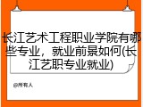 长江艺术工程职业学院有哪些专业，就业前景如何(长江艺职专业就业)