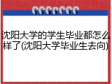 沈阳大学的学生毕业都怎么样了(沈阳大学毕业生去向)
