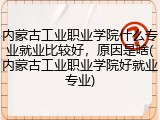 内蒙古工业职业学院什么专业就业比较好，原因是啥(内蒙古工业职业学院好就业专业)