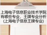上海电子信息职业技术学院有哪些专业，王牌专业分析(上海电子信息王牌专业)
